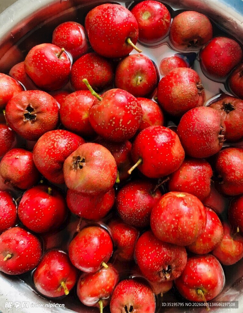 满满一盆鲜红山楂果