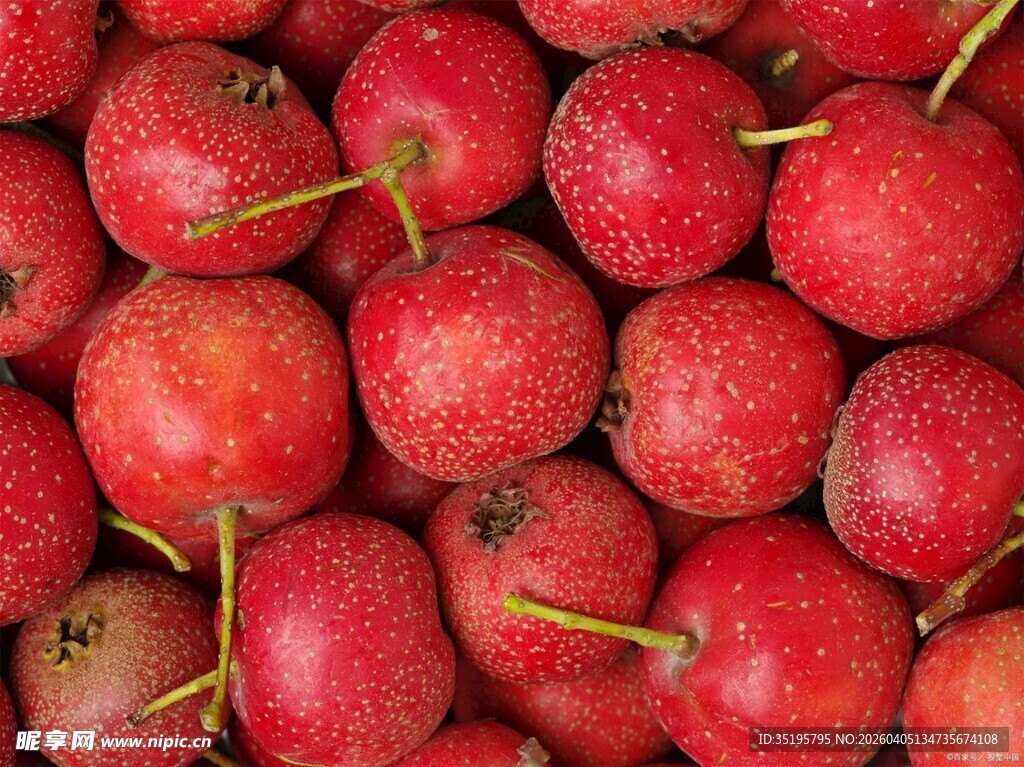 饱满红山楂色泽诱人