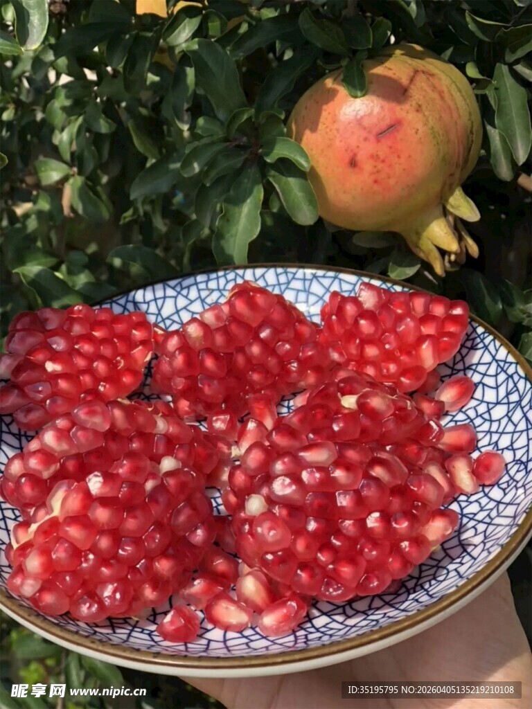 盘中红石榴饱满诱人