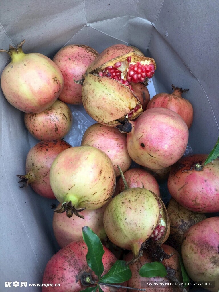 新鲜饱满的石榴果实