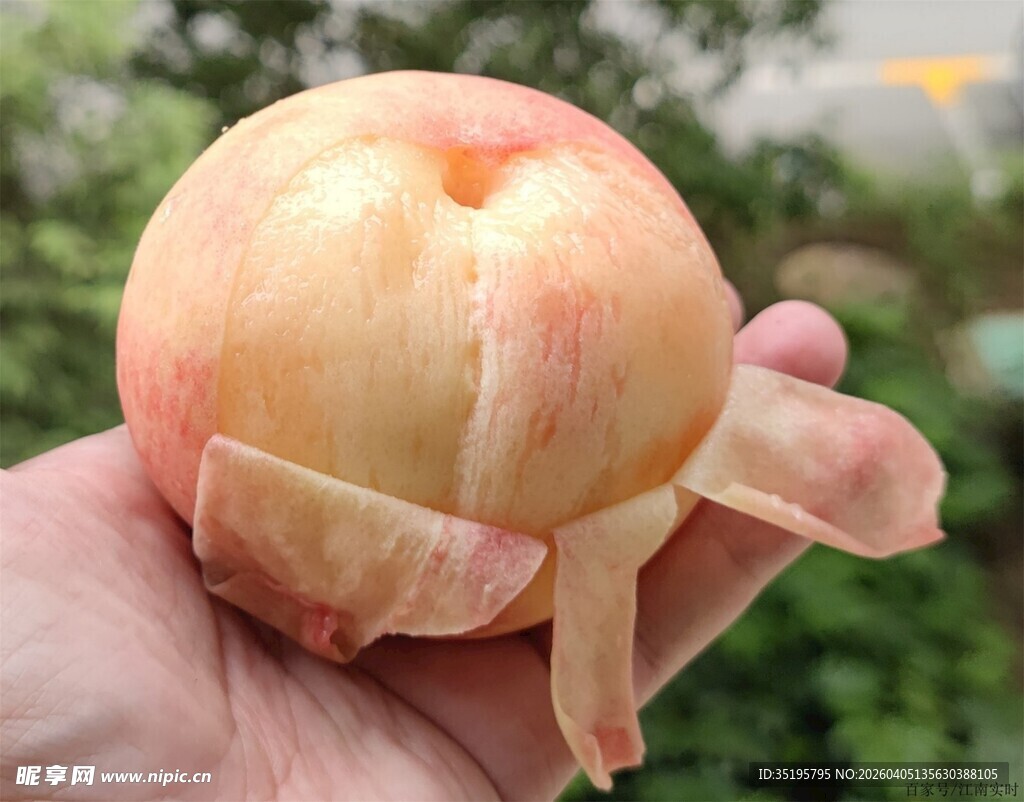 手剥新鲜水蜜桃