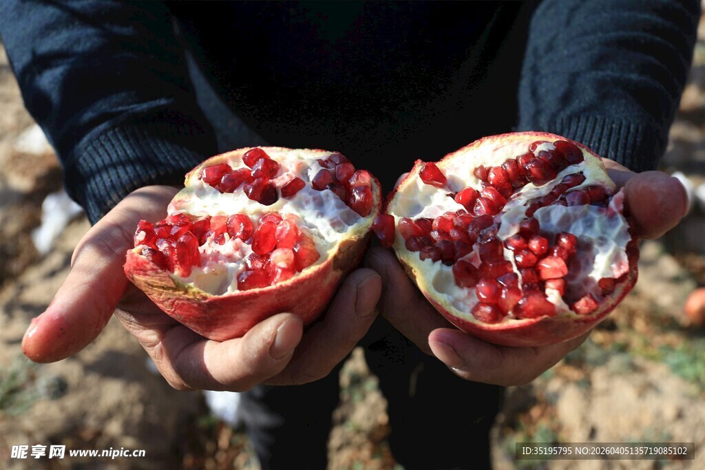 手中掰开的饱满红石榴