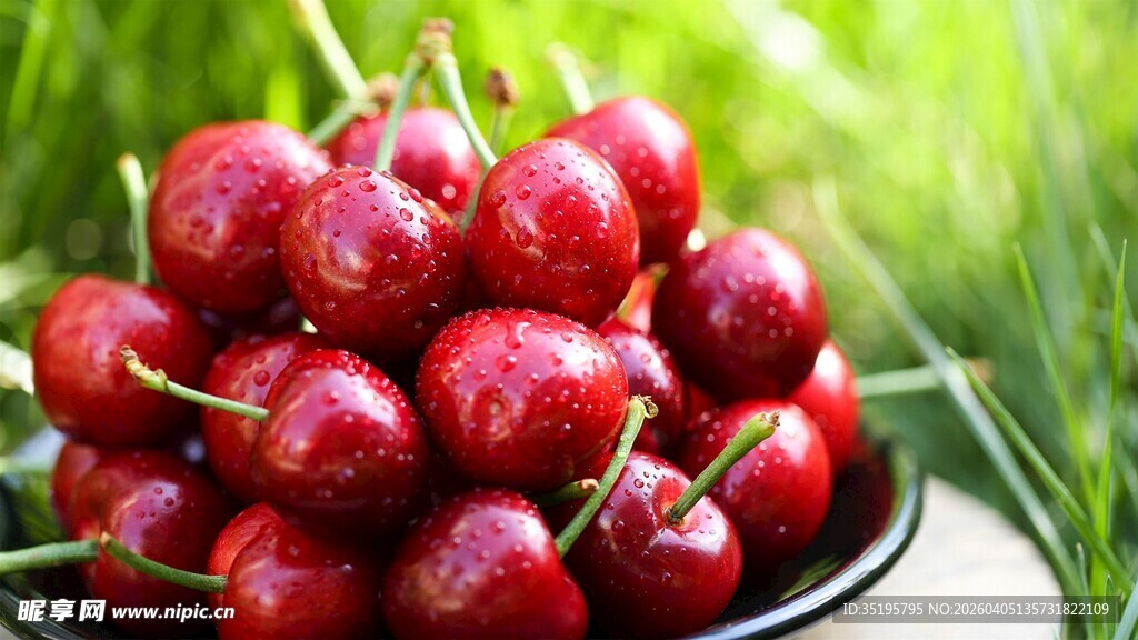 新鲜红樱桃色泽诱人