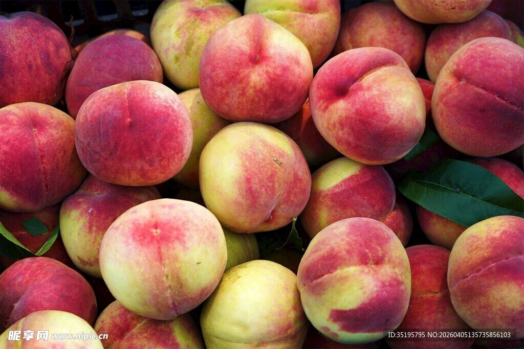 新鲜饱满的水蜜桃