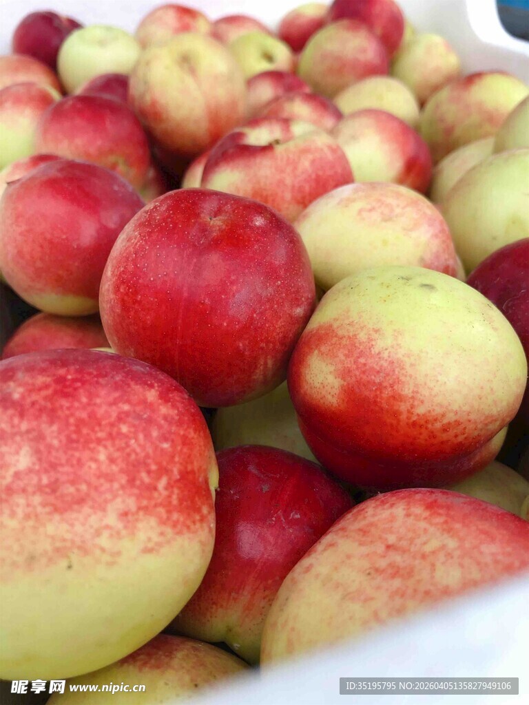 新鲜油桃堆成诱人果实