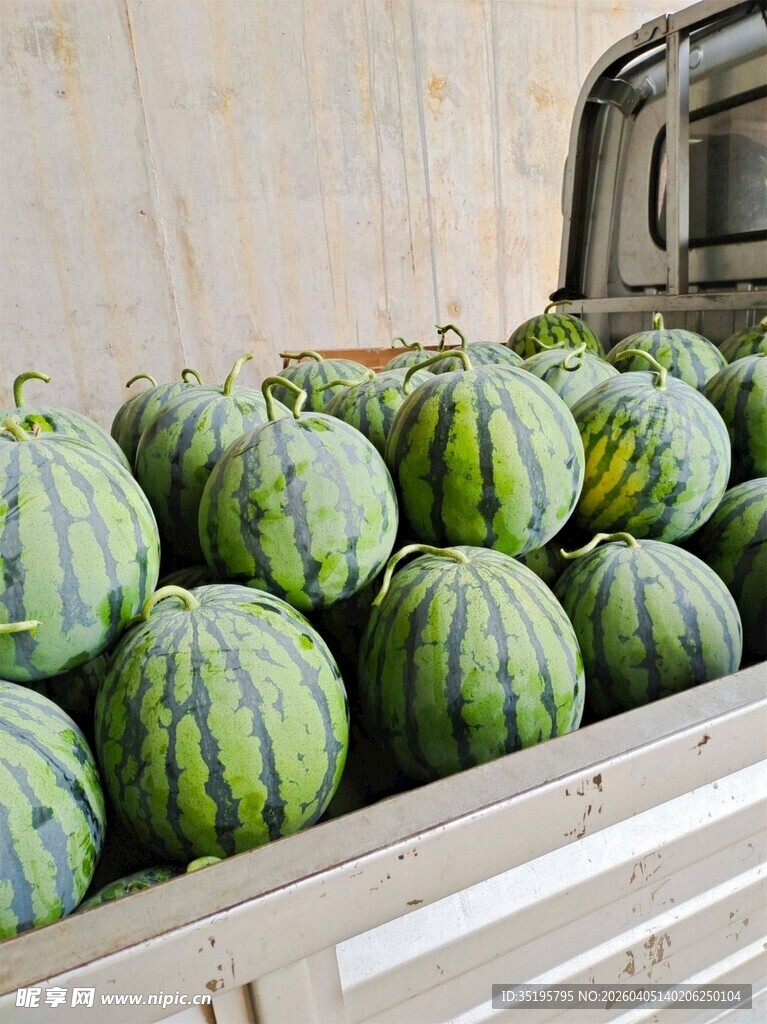 卡车上的新鲜大西瓜