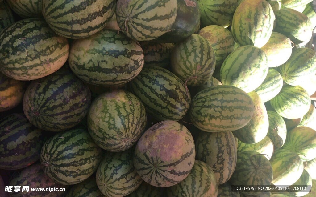 一堆新鲜的花皮甜瓜