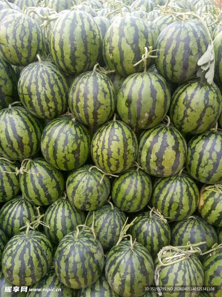大量西瓜堆叠