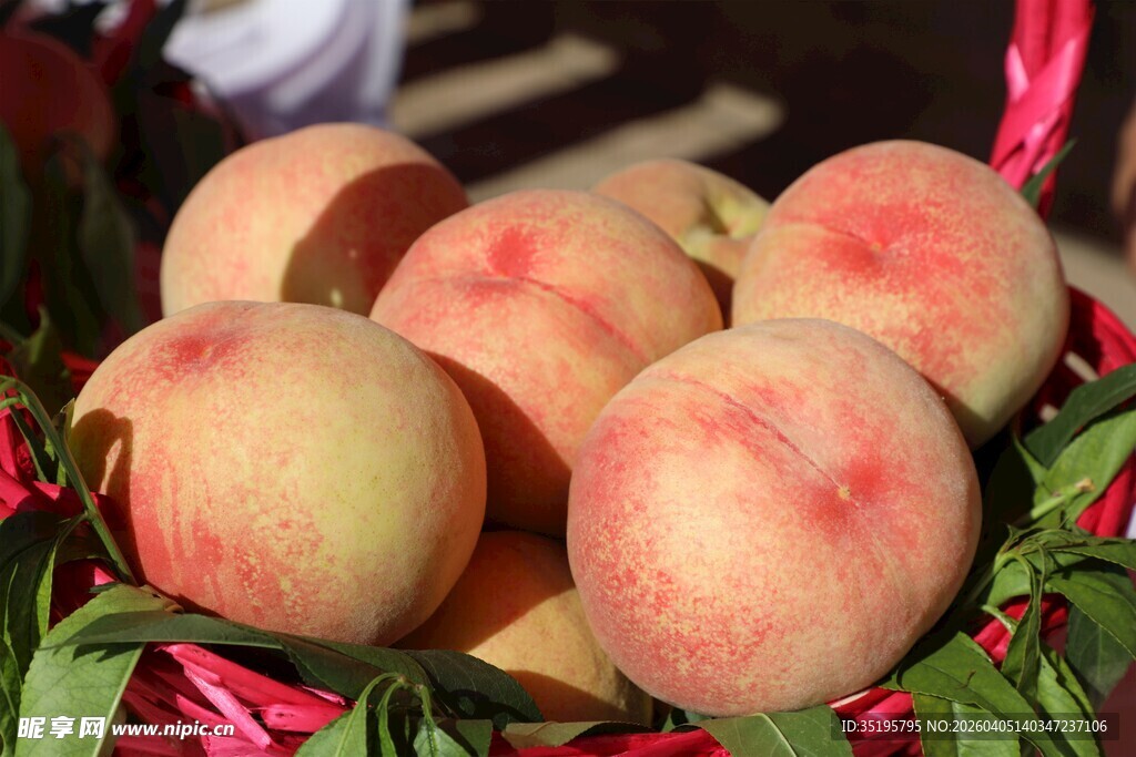 新鲜粉嫩水蜜桃