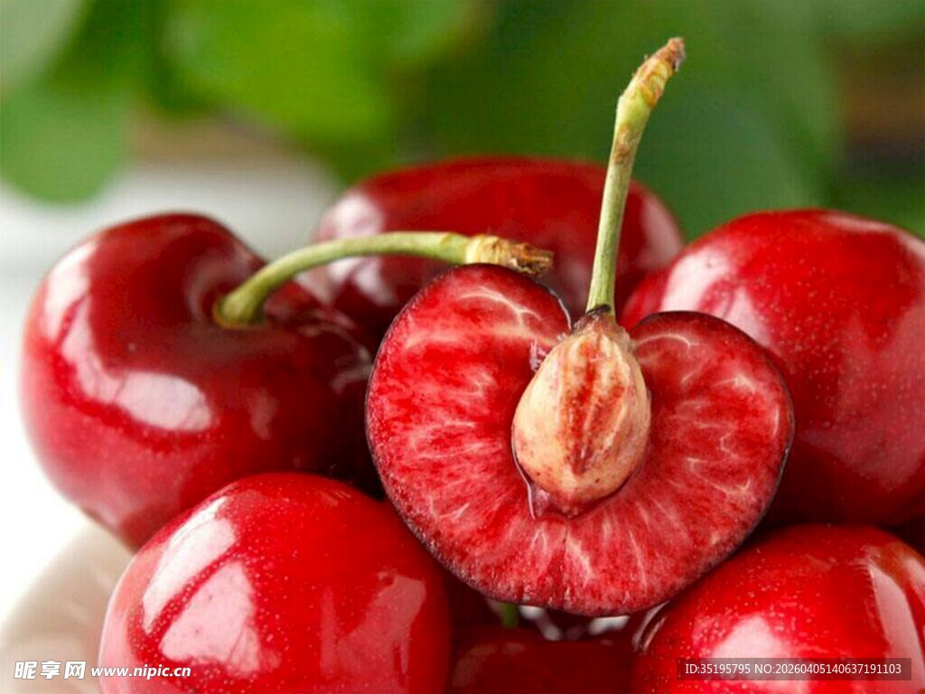 新鲜多汁的诱人红樱桃