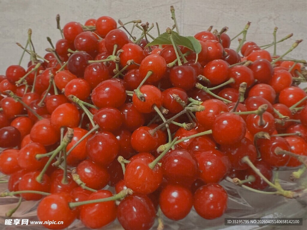 新鲜红樱桃饱满诱人