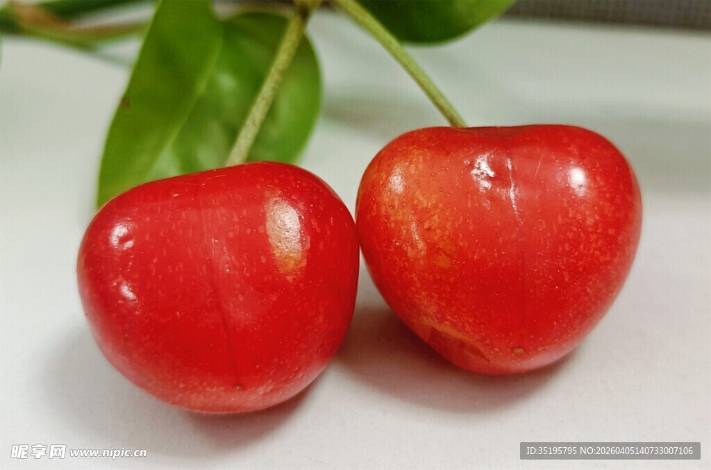 新鲜红樱桃色泽诱人