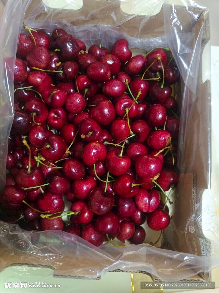 新鲜饱满的袋装红樱桃