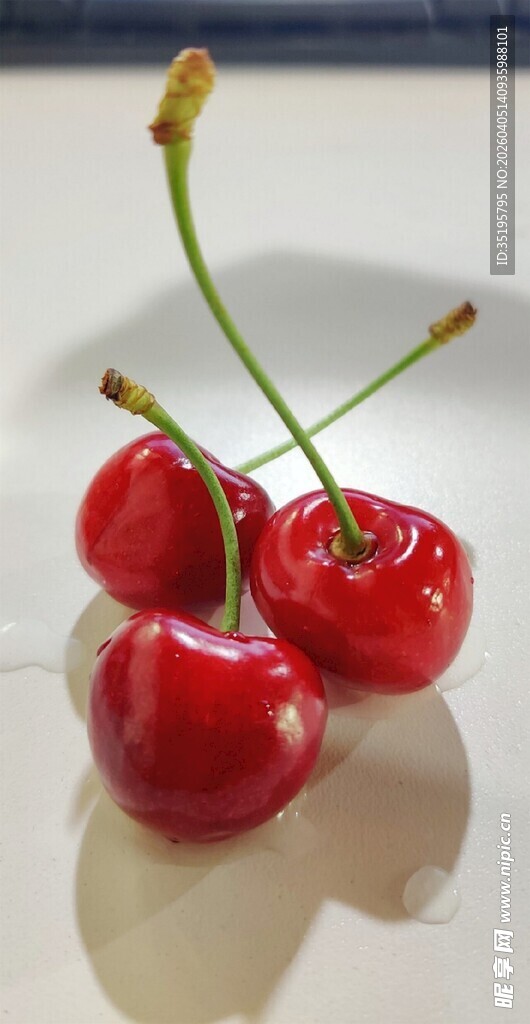 新鲜红樱桃置于白色盘上