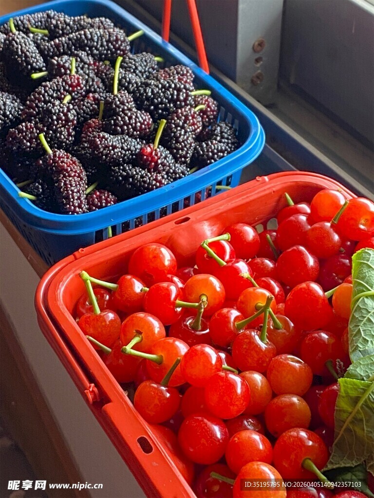 新鲜桑葚与樱桃水果组合