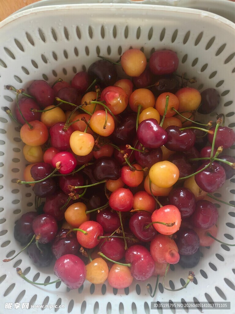 白筐中多彩新鲜的樱桃