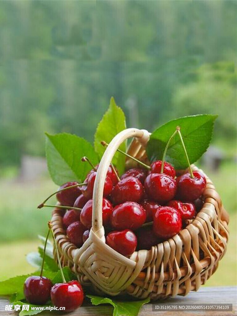 竹篮中的新鲜红樱桃
