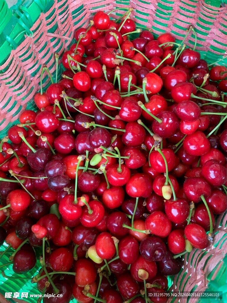 篮子里的新鲜红樱桃