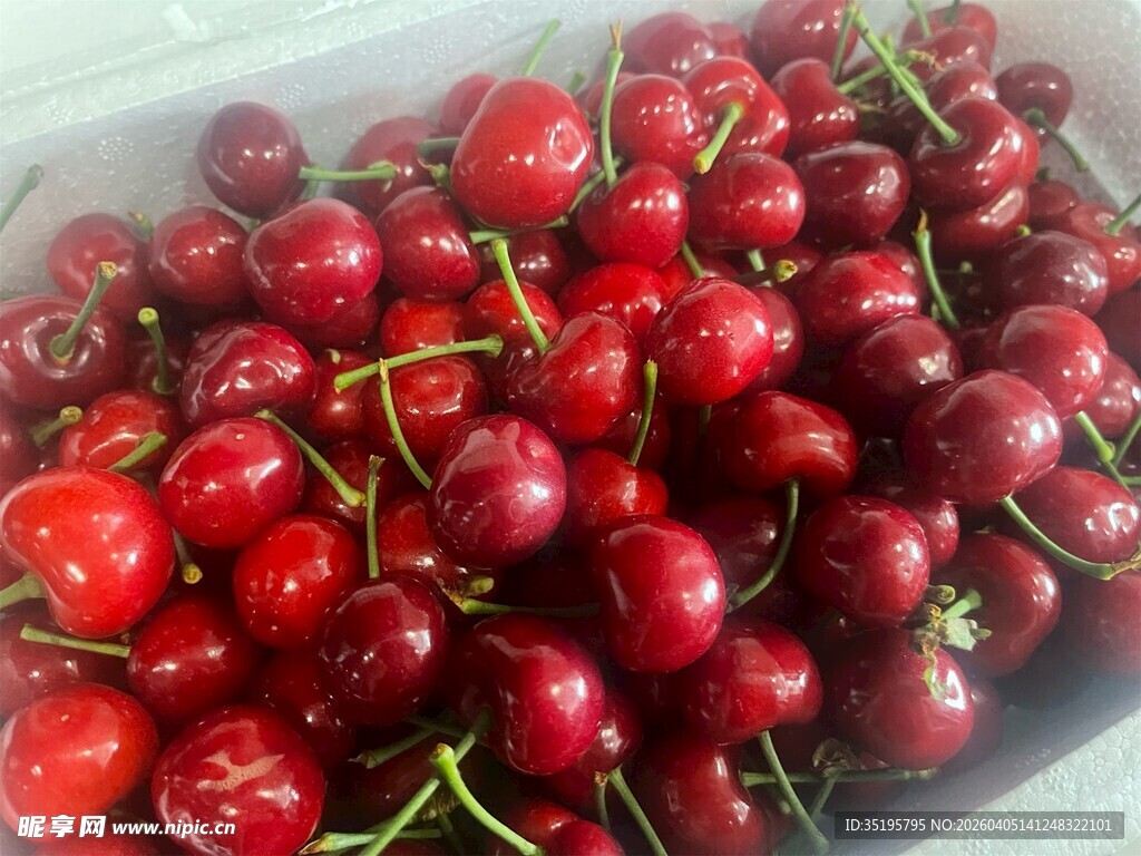 新鲜饱满的大樱桃