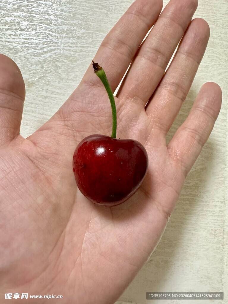 手掌上的一颗鲜红樱桃