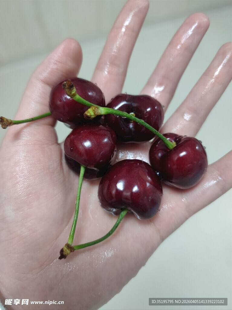 手捧新鲜樱桃
