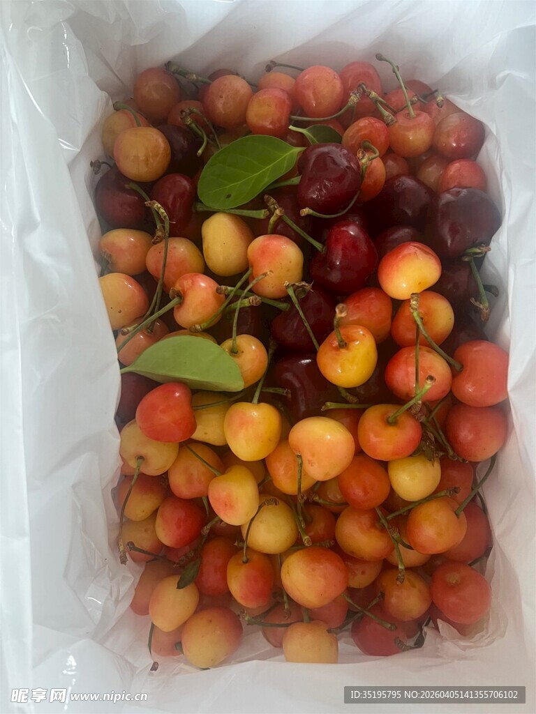 袋装多彩新鲜樱桃