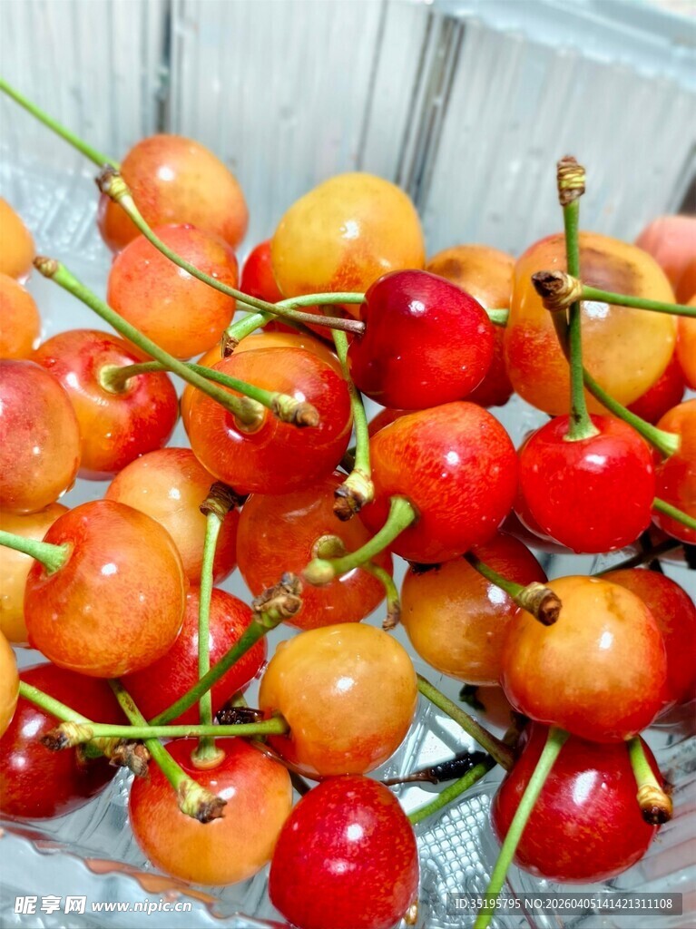 新鲜诱人的多彩樱桃