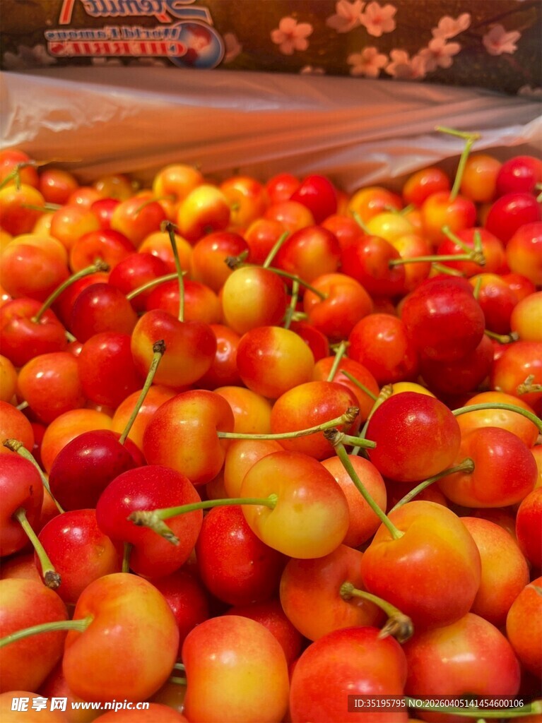 新鲜诱人的多彩樱桃