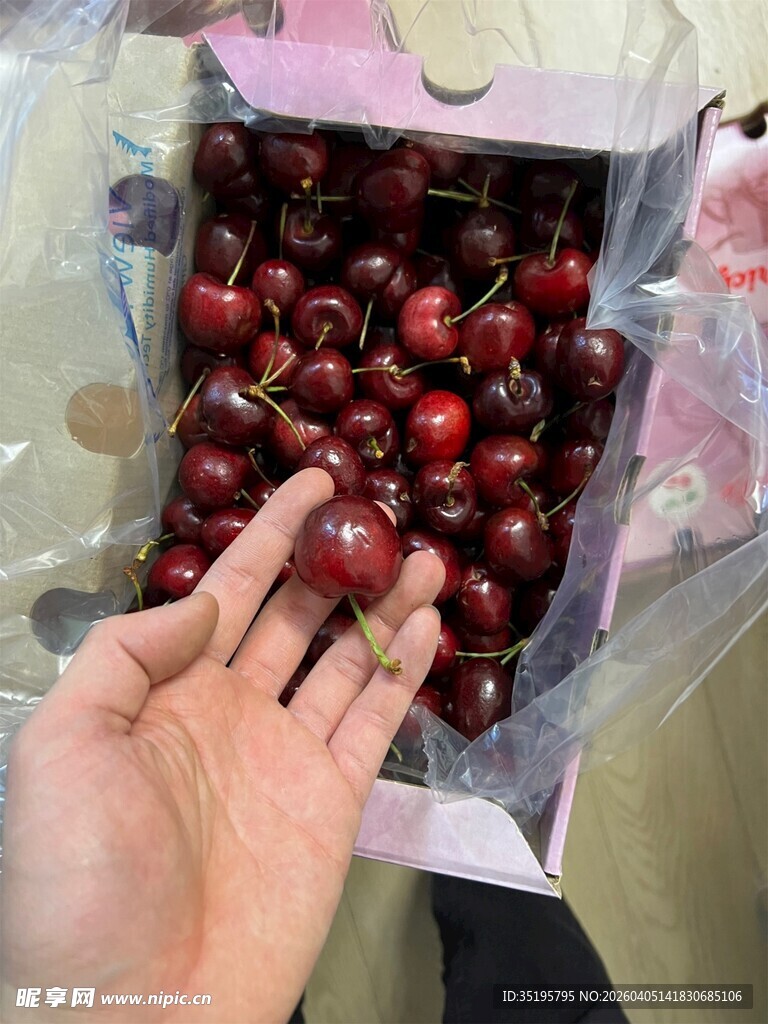 手捧新鲜诱人的大樱桃