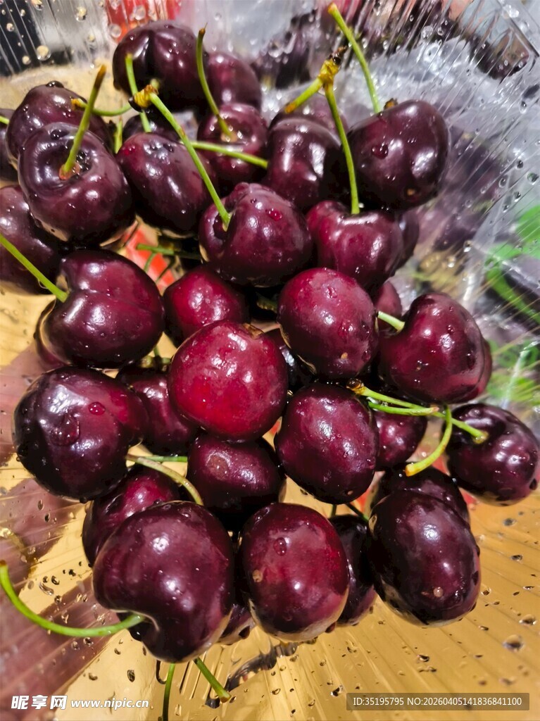 新鲜饱满的紫樱桃