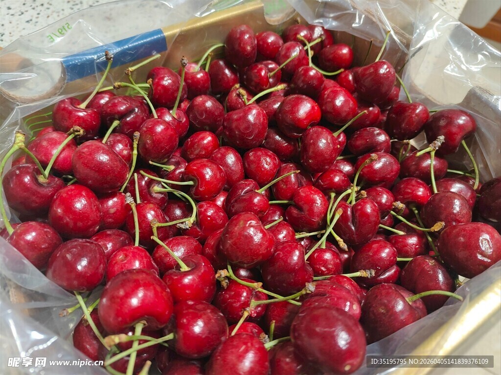 新鲜饱满的大樱桃