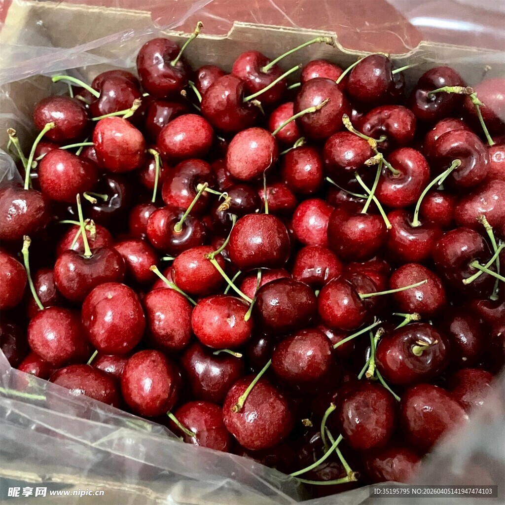 新鲜饱满的大樱桃