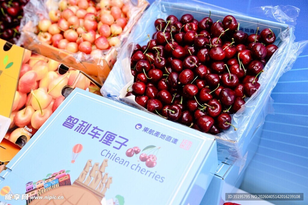 新鲜多样水果展示