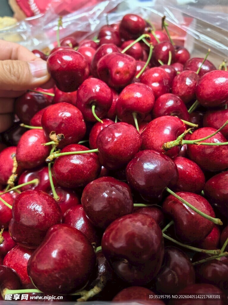 新鲜诱人的大颗车厘子