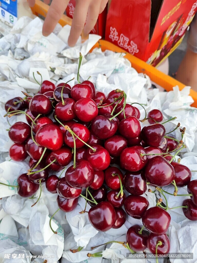 新鲜饱满的大樱桃