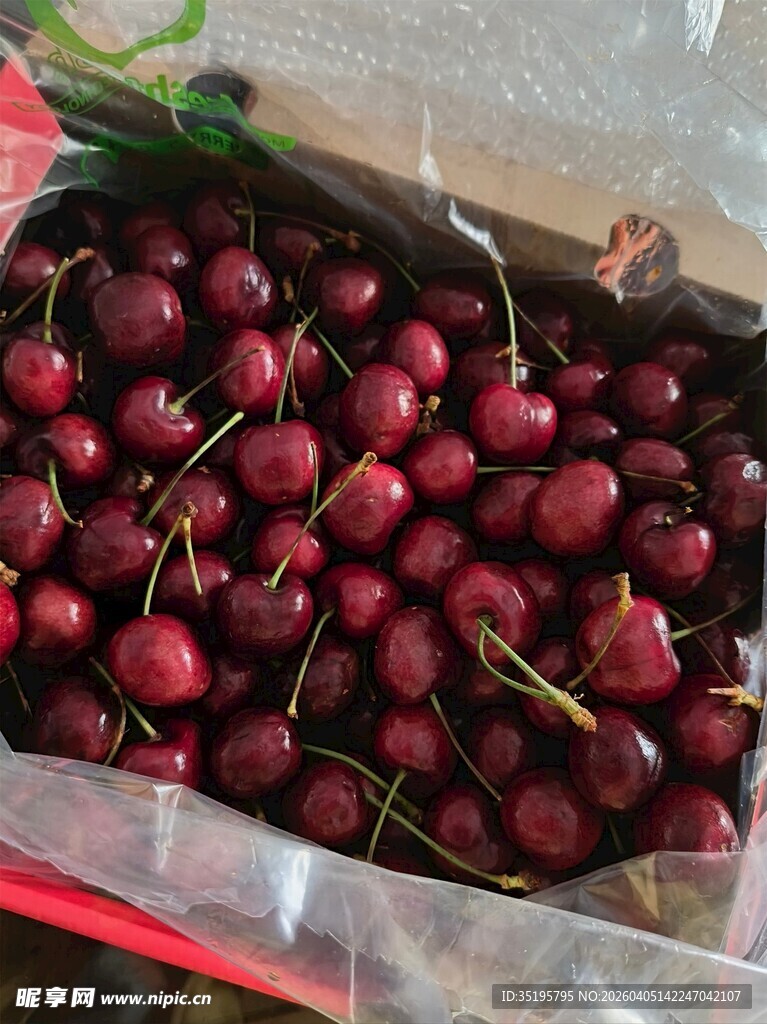 新鲜饱满的大樱桃
