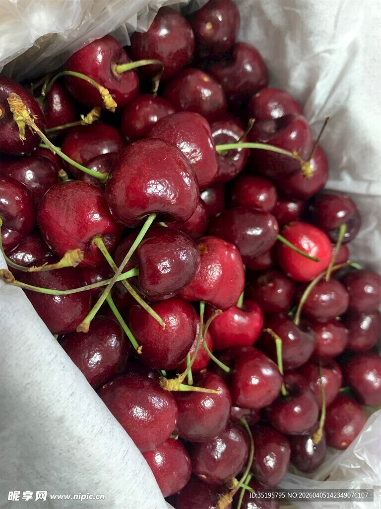 新鲜饱满的车厘子果实