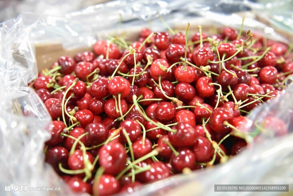 新鲜饱满的红樱桃