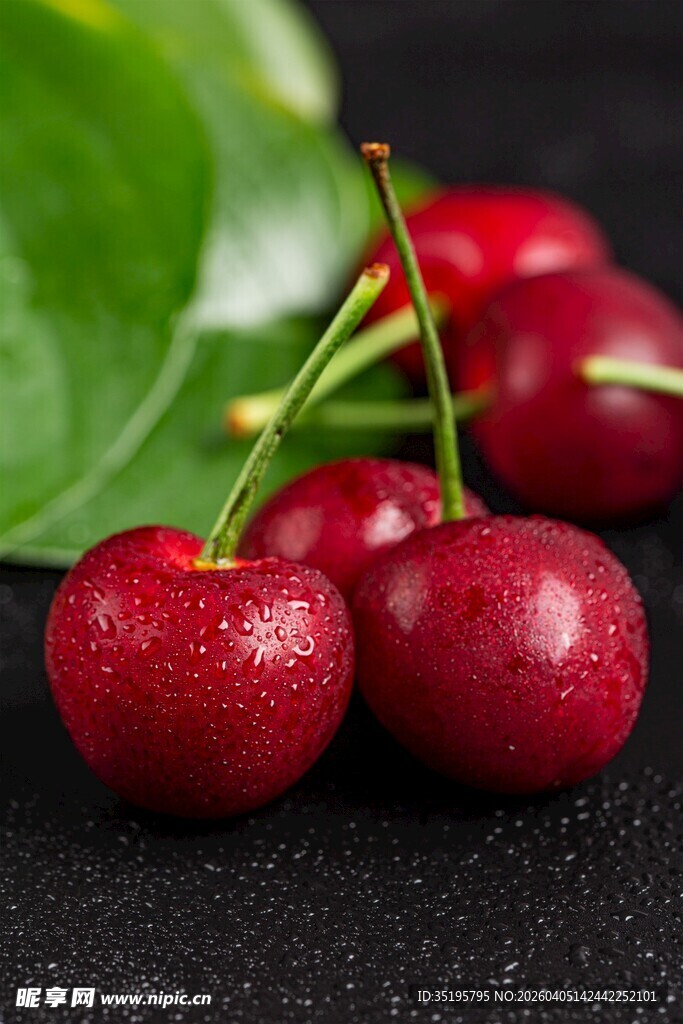 新鲜欲滴的红樱桃