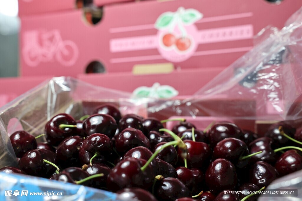 新鲜饱满的车厘子