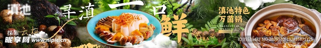 菌汤锅