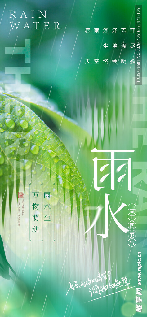 清新雨水下的翠绿植物