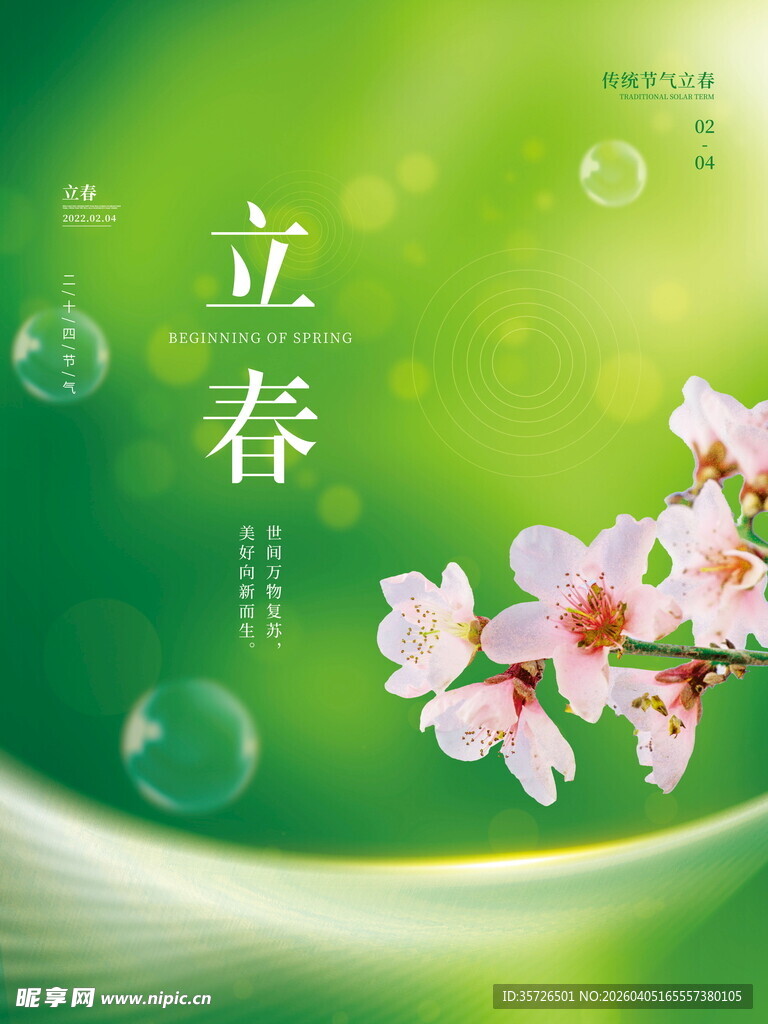 立春时节绽放的烂漫春花