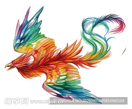 五彩斑斓的梦幻凤凰