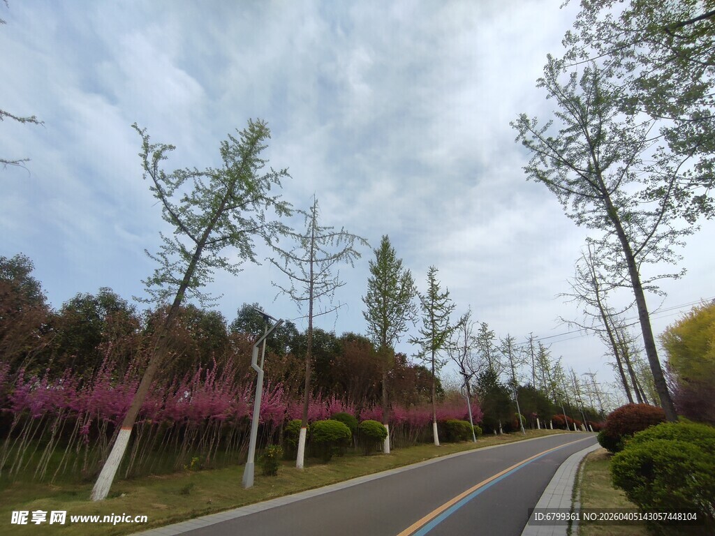 公园道路