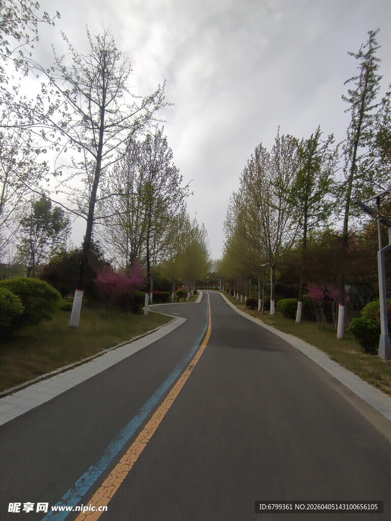 公园道路