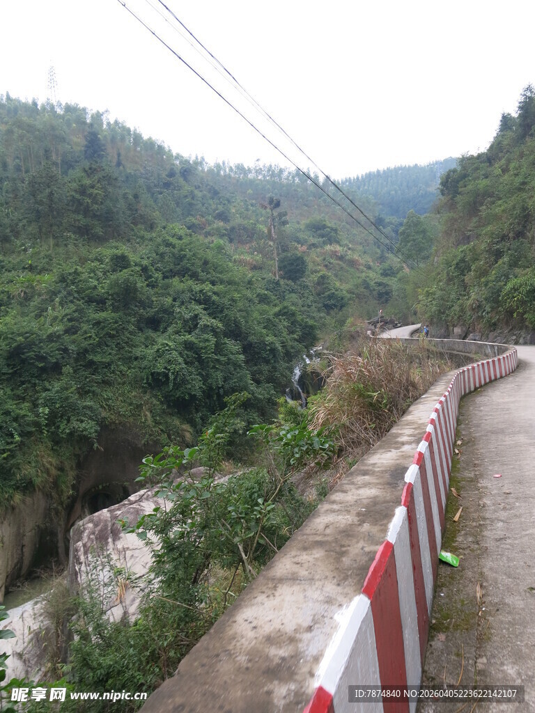 山间护栏旁的葱郁景致