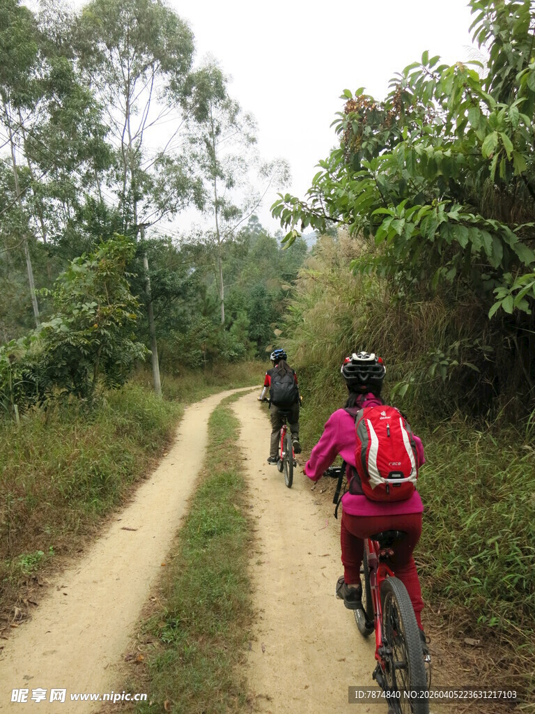 户外骑行者穿行林间小道