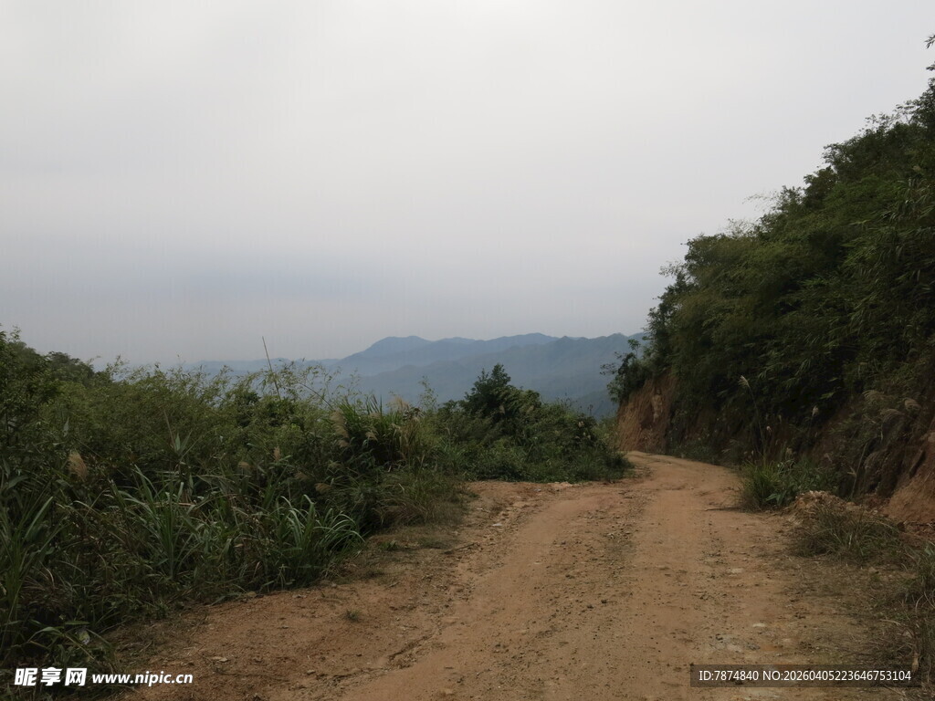 山间土路 自然野趣风光