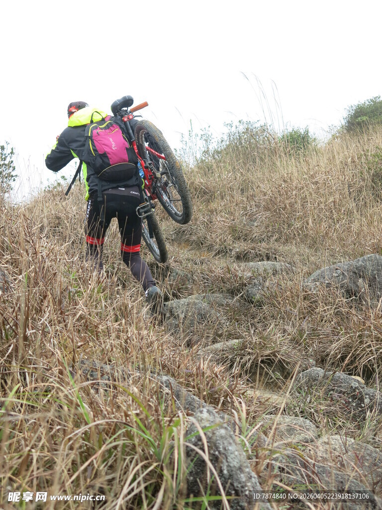徒步者穿行于山间草丛